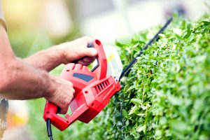 Man trimming hedge using strimmer